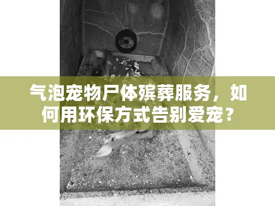 气泡宠物尸体殡葬服务，如何用环保方式告别爱宠？