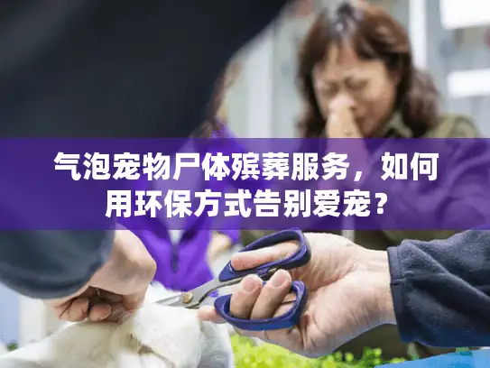 气泡宠物尸体殡葬服务，如何用环保方式告别爱宠？