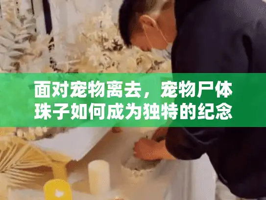 面对宠物离去，宠物尸体珠子如何成为独特的纪念解决方案？