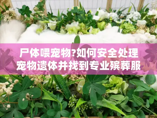 尸体喂宠物?如何安全处理宠物遗体并找到专业殡葬服务