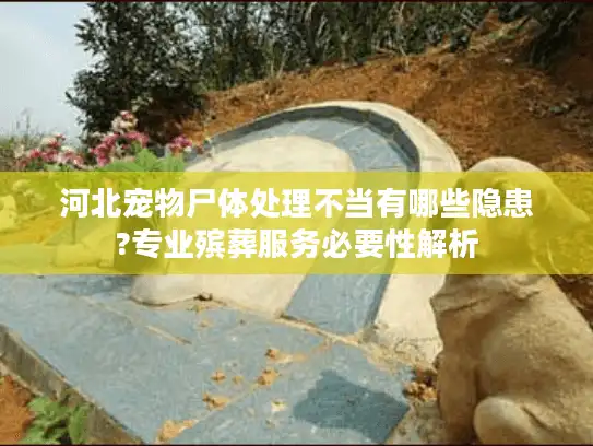 河北宠物尸体处理不当有哪些隐患?专业殡葬服务必要性解析