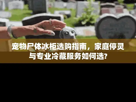 宠物尸体冰柜选购指南，家庭停灵与专业冷藏服务如何选?