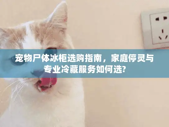 宠物尸体冰柜选购指南，家庭停灵与专业冷藏服务如何选?
