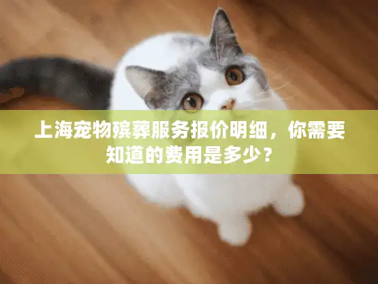 上海宠物殡葬服务报价明细，你需要知道的费用是多少？