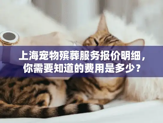上海宠物殡葬服务报价明细，你需要知道的费用是多少？