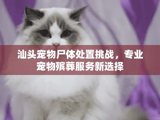 汕头宠物尸体处置挑战，专业宠物殡葬服务新选择