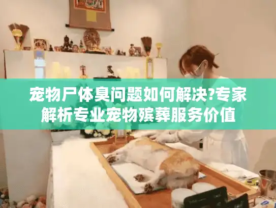 宠物尸体臭问题如何解决?专家解析专业宠物殡葬服务价值