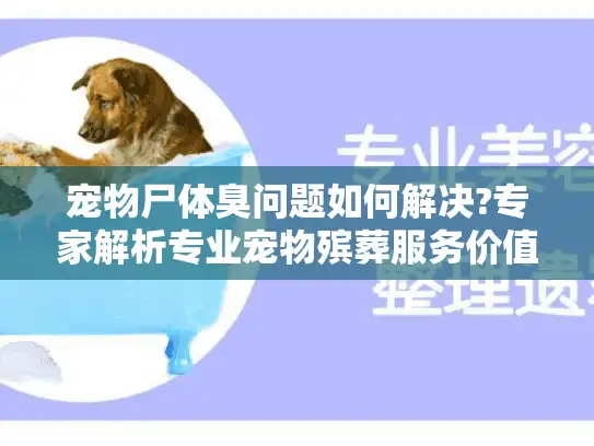 宠物尸体臭问题如何解决?专家解析专业宠物殡葬服务价值