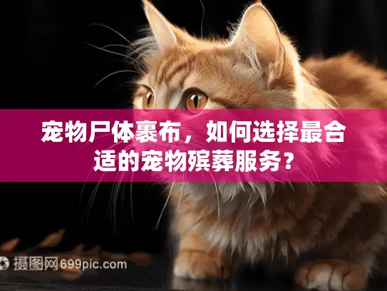 宠物尸体裹布，如何选择最合适的宠物殡葬服务？