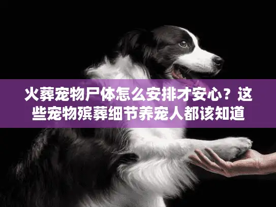 火葬宠物尸体怎么安排才安心？这些宠物殡葬细节养宠人都该知道