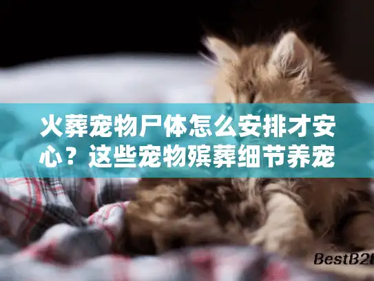 火葬宠物尸体怎么安排才安心？这些宠物殡葬细节养宠人都该知道