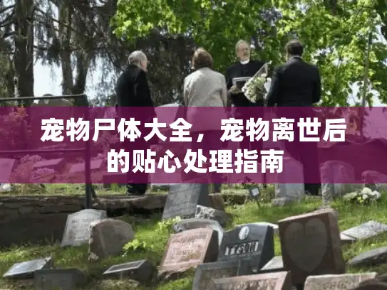 宠物尸体大全，宠物离世后的贴心处理指南