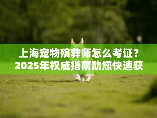 上海宠物殡葬师怎么考证？2025年权威指南助您快速获取认证！