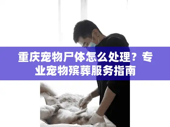 重庆宠物尸体怎么处理？专业宠物殡葬服务指南