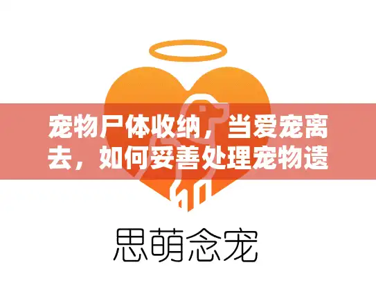 宠物尸体收纳，当爱宠离去，如何妥善处理宠物遗体？