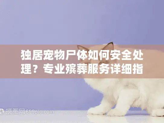独居宠物尸体如何安全处理？专业殡葬服务详细指南