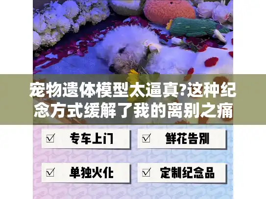 宠物遗体模型太逼真?这种纪念方式缓解了我的离别之痛