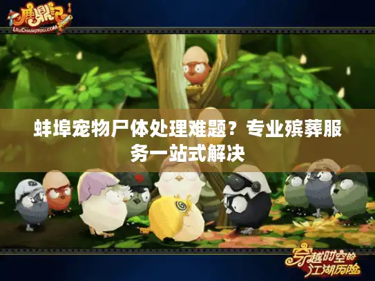 蚌埠宠物尸体处理难题？专业殡葬服务一站式解决