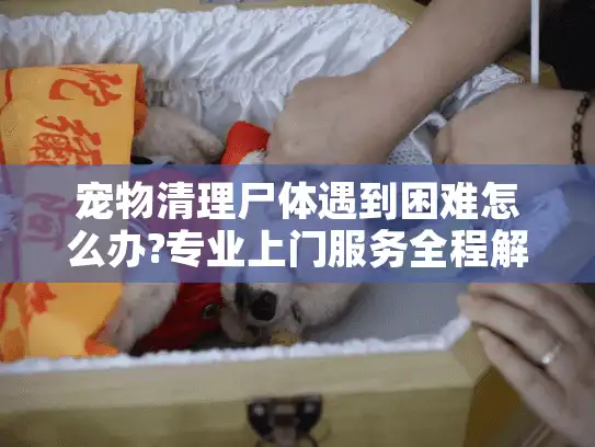宠物清理尸体遇到困难怎么办?专业上门服务全程解忧