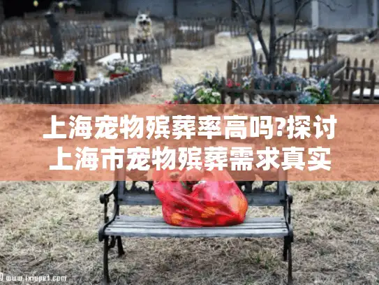 上海宠物殡葬率高吗?探讨上海市宠物殡葬需求真实趋势