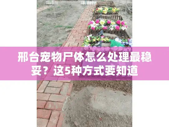 邢台宠物尸体怎么处理最稳妥？这5种方式要知道