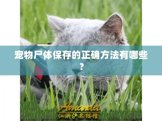 宠物尸体保存的正确方法有哪些？
