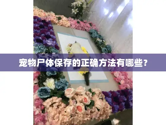 宠物尸体保存的正确方法有哪些？