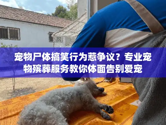 宠物尸体搞笑行为惹争议？专业宠物殡葬服务教你体面告别爱宠