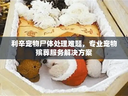 利辛宠物尸体处理难题，专业宠物殡葬服务解决方案