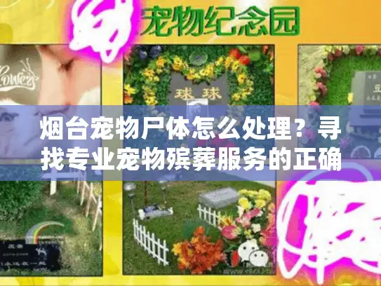 烟台宠物尸体怎么处理？寻找专业宠物殡葬服务的正确方式