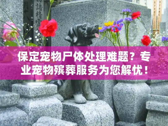 保定宠物尸体处理难题？专业宠物殡葬服务为您解忧！
