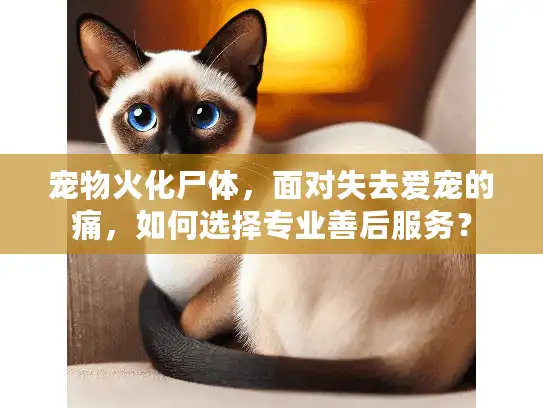 宠物火化尸体，面对失去爱宠的痛，如何选择专业善后服务？
