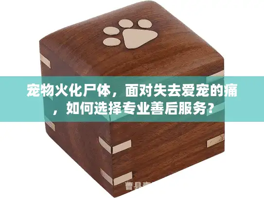 宠物火化尸体，面对失去爱宠的痛，如何选择专业善后服务？