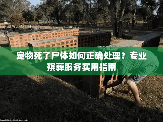 宠物死了尸体如何正确处理？专业殡葬服务实用指南