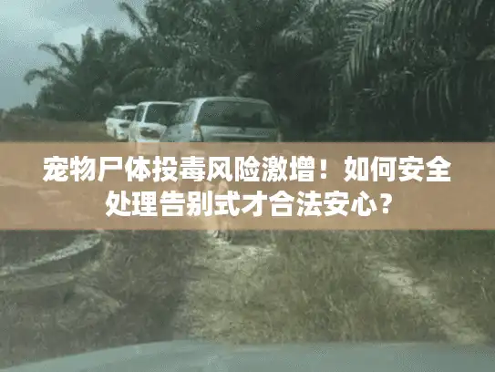 宠物尸体投毒风险激增！如何安全处理告别式才合法安心？