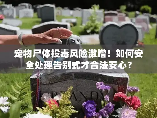 宠物尸体投毒风险激增！如何安全处理告别式才合法安心？