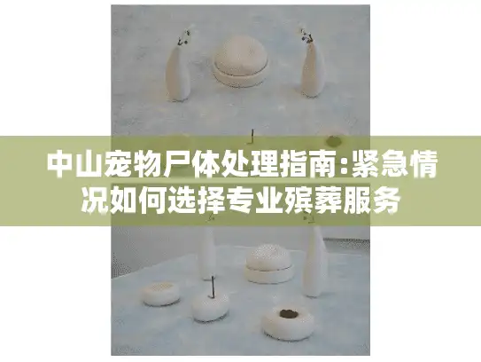 中山宠物尸体处理指南:紧急情况如何选择专业殡葬服务