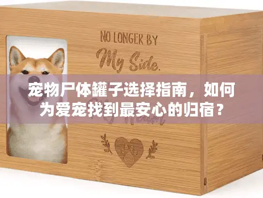 宠物尸体罐子选择指南，如何为爱宠找到最安心的归宿？