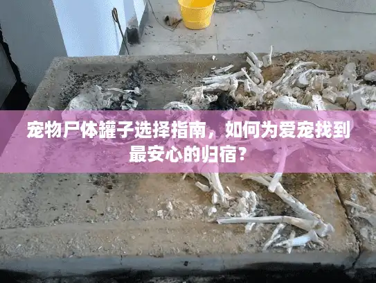 宠物尸体罐子选择指南，如何为爱宠找到最安心的归宿？