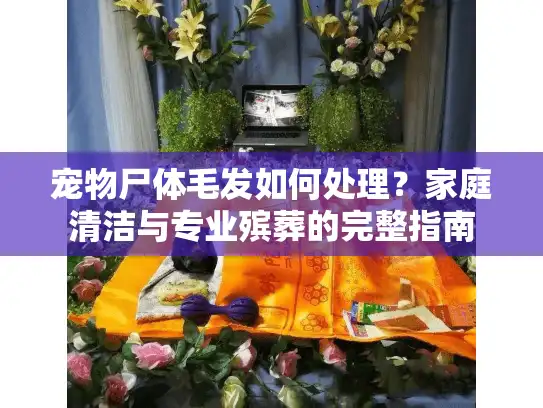 宠物尸体毛发如何处理？家庭清洁与专业殡葬的完整指南