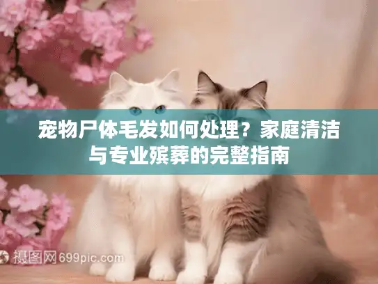 宠物尸体毛发如何处理？家庭清洁与专业殡葬的完整指南
