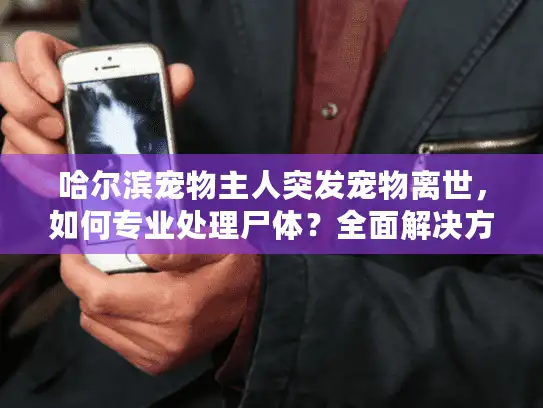 哈尔滨宠物主人突发宠物离世，如何专业处理尸体？全面解决方案分享