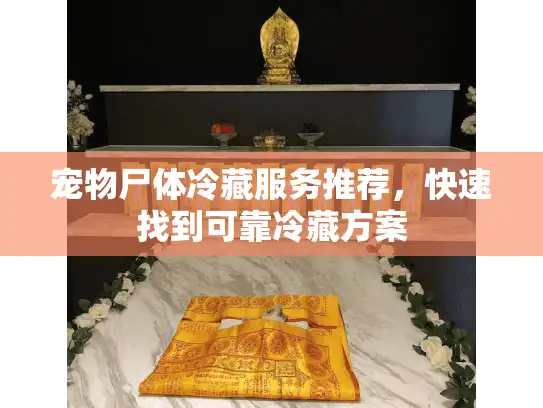 宠物尸体冷藏服务推荐，快速找到可靠冷藏方案