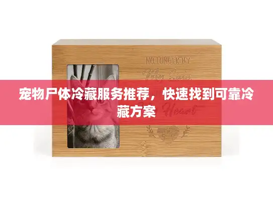 宠物尸体冷藏服务推荐，快速找到可靠冷藏方案