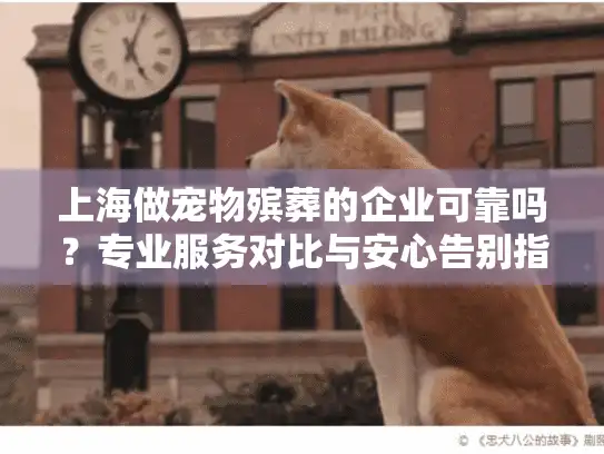 上海做宠物殡葬的企业可靠吗？专业服务对比与安心告别指南