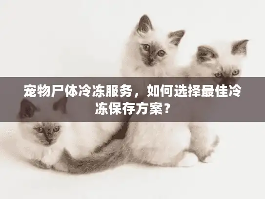 宠物尸体冷冻服务，如何选择最佳冷冻保存方案？