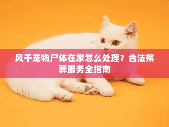 风干宠物尸体在家怎么处理？合法殡葬服务全指南