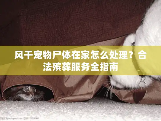 风干宠物尸体在家怎么处理？合法殡葬服务全指南