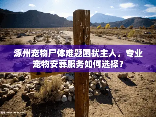 涿州宠物尸体难题困扰主人，专业宠物安葬服务如何选择？