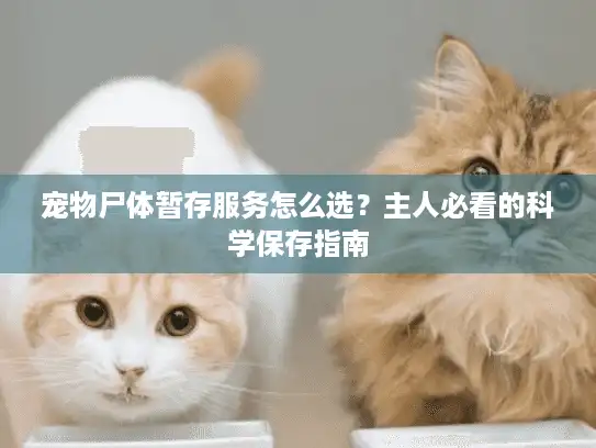 宠物尸体暂存服务怎么选？主人必看的科学保存指南